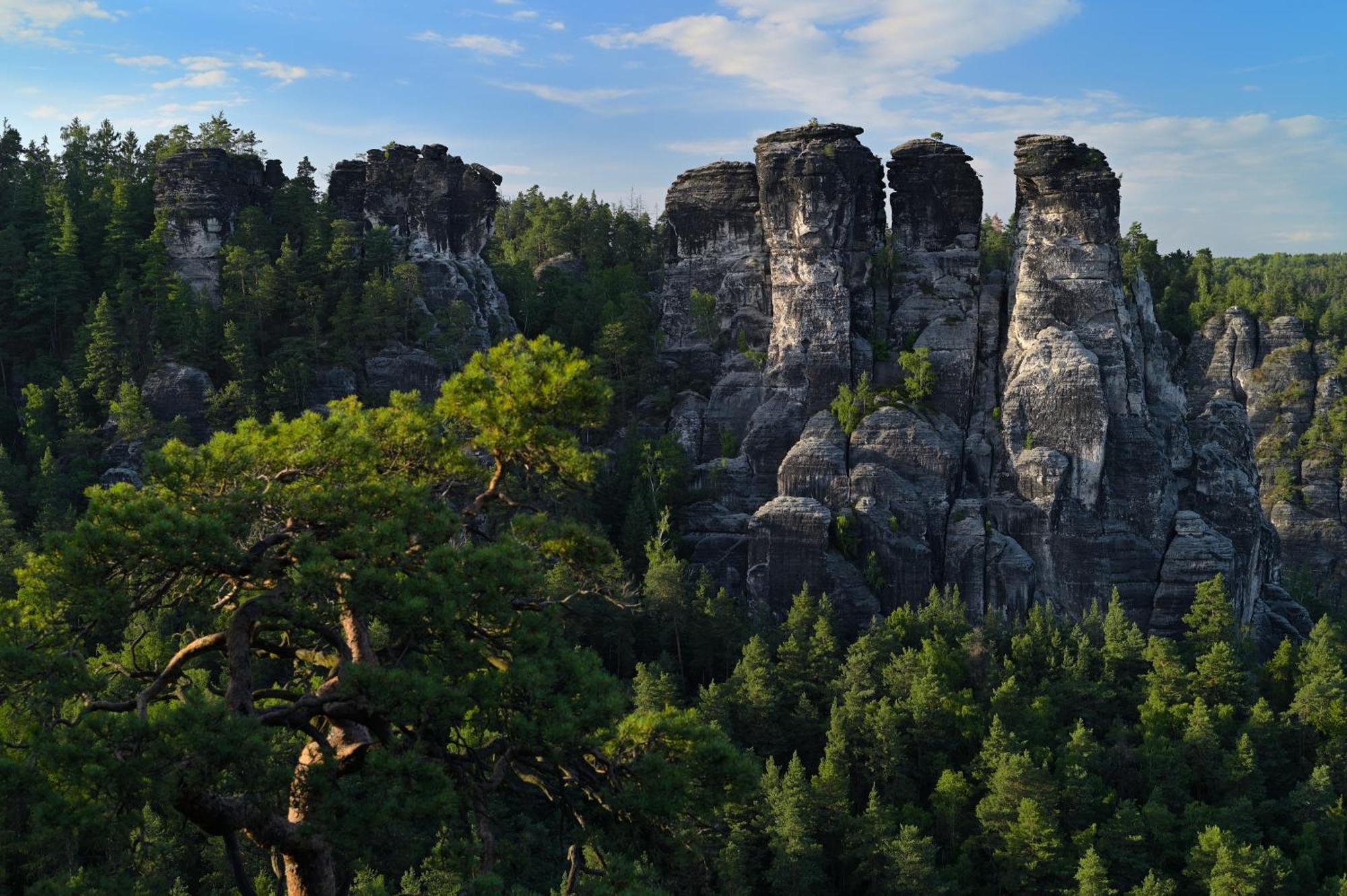 Gasthof Ungerberg Neustadt in Sachsen Bagian luar foto